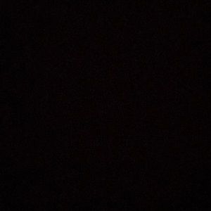 Meet your Posher, Lexi